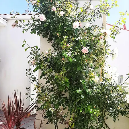 Villa Bianca A 5 Min De L'ile De Re *
